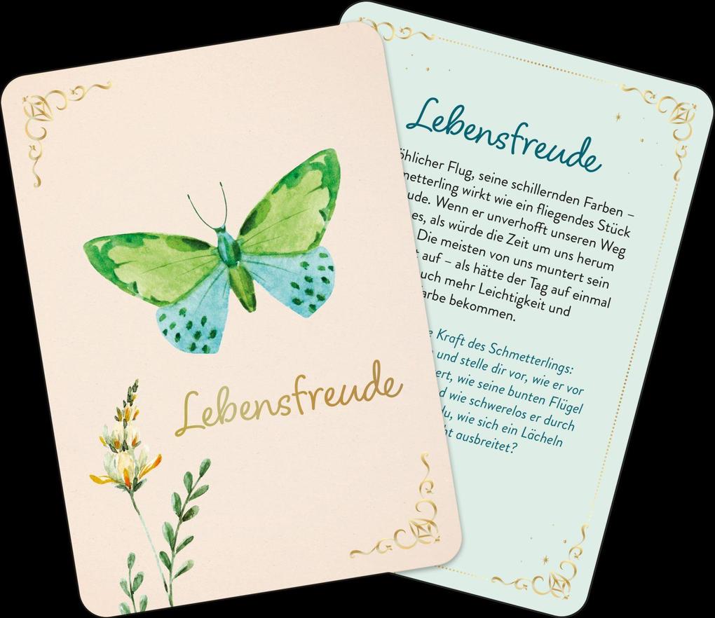 Weitere Ansicht: Orakelkarten: Zauber der Schmetterlinge | Franziska Sorgenfrei