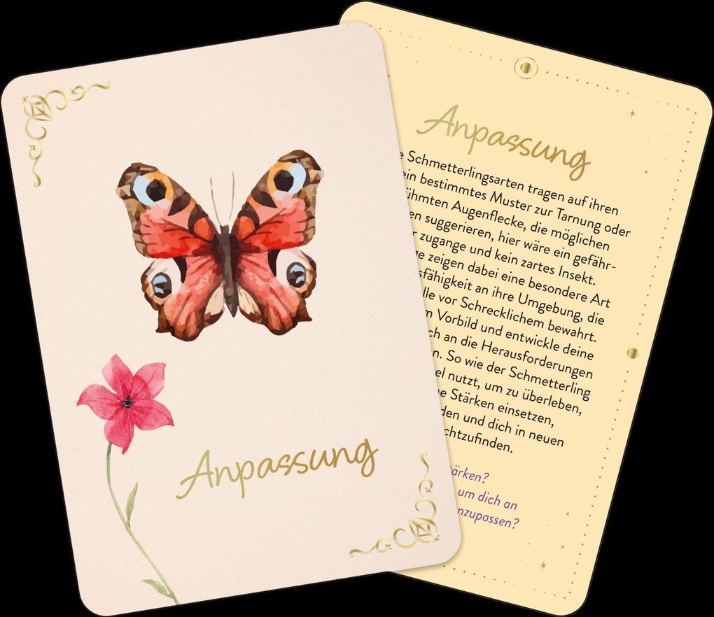 Weitere Ansicht: Orakelkarten: Zauber der Schmetterlinge | Franziska Sorgenfrei