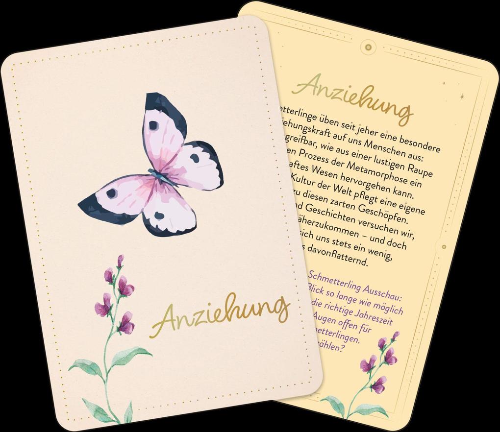 Weitere Ansicht: Orakelkarten: Zauber der Schmetterlinge | Franziska Sorgenfrei