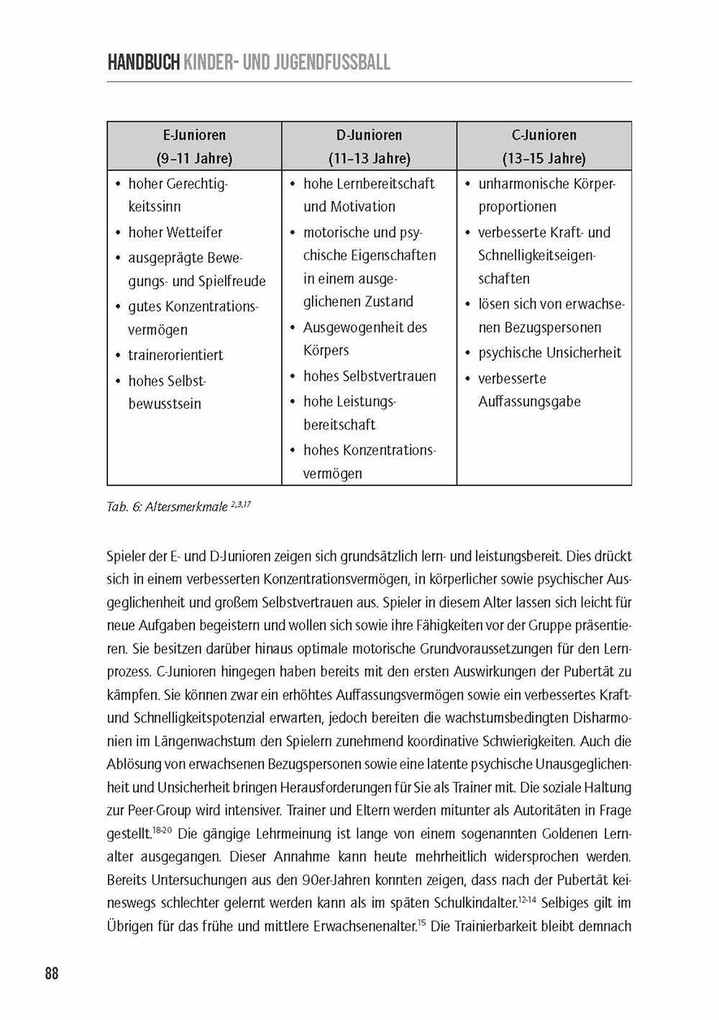 Weitere Ansicht: Handbuch Kinder- & Jugendfußball | Niklas Lüdemann