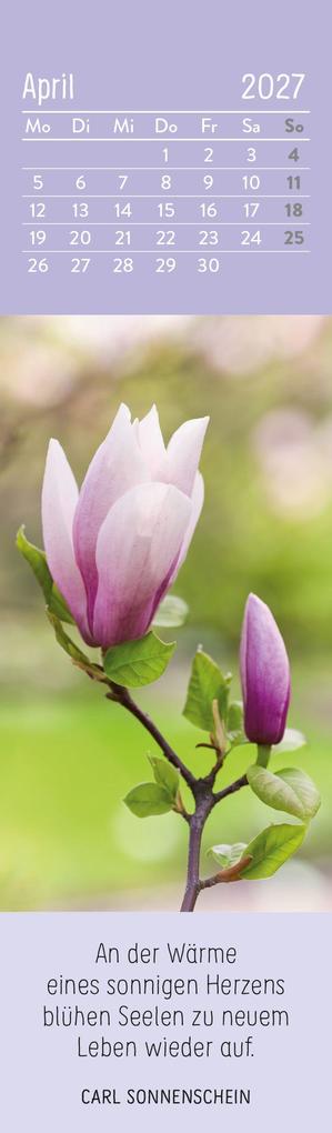 Weitere Ansicht: Lesezeichenkalender 2027: Der kleine Glückskalender