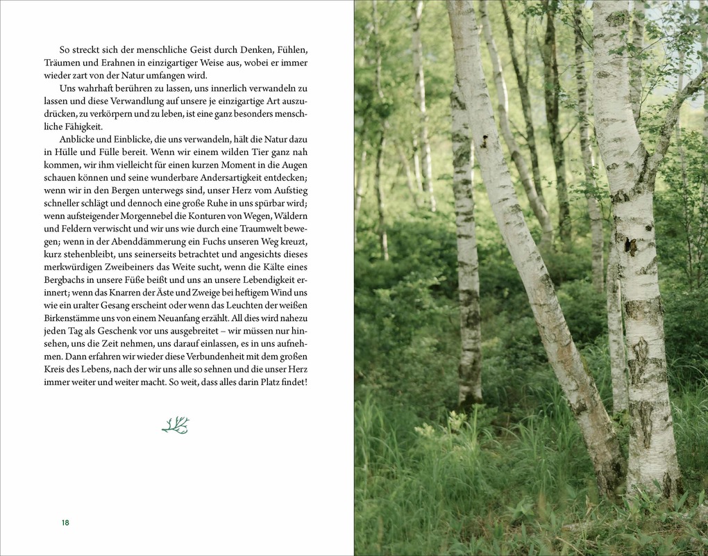 Weitere Ansicht: Kraftort Natur | Jennie Appel, Dirk Grosser