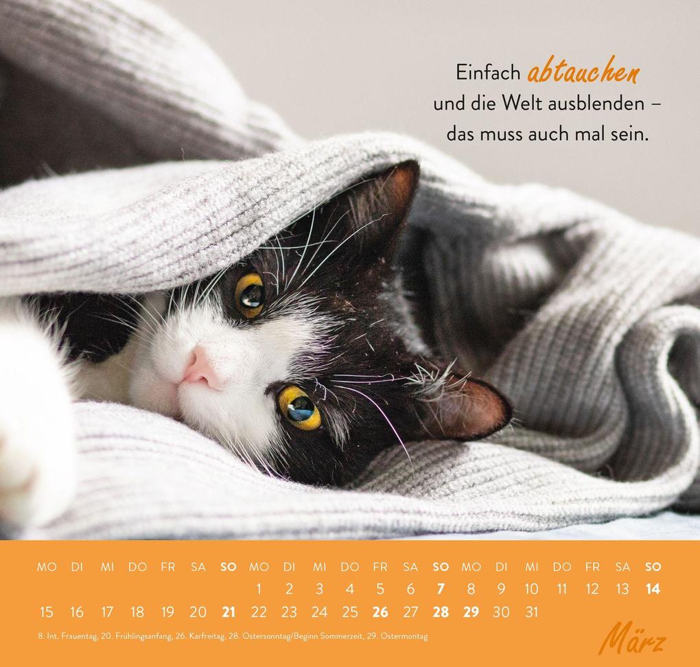 Weitere Ansicht: Wandkalender 2027: Einfach mal abhängen
