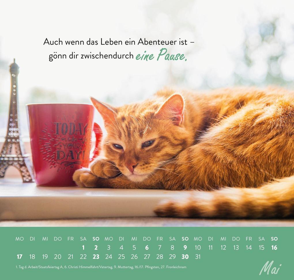 Weitere Ansicht: Wandkalender 2027: Einfach mal abhängen