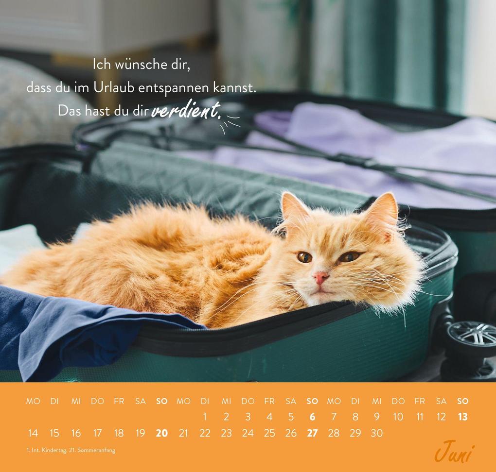 Weitere Ansicht: Wandkalender 2027: Einfach mal abhängen