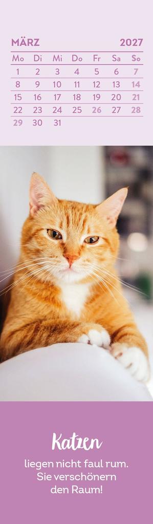 Weitere Ansicht: Lesezeichenkalender 2027: Katzenfreunde