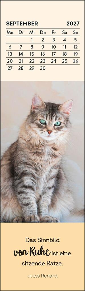 Weitere Ansicht: Lesezeichenkalender 2027: Katzenfreunde