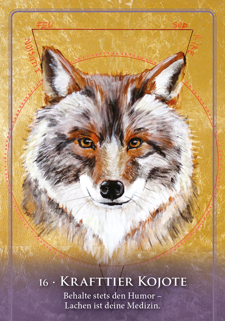 Weitere Ansicht: Das Orakel der Medizinfrauen | Catherine Maillard, Caroline Manière