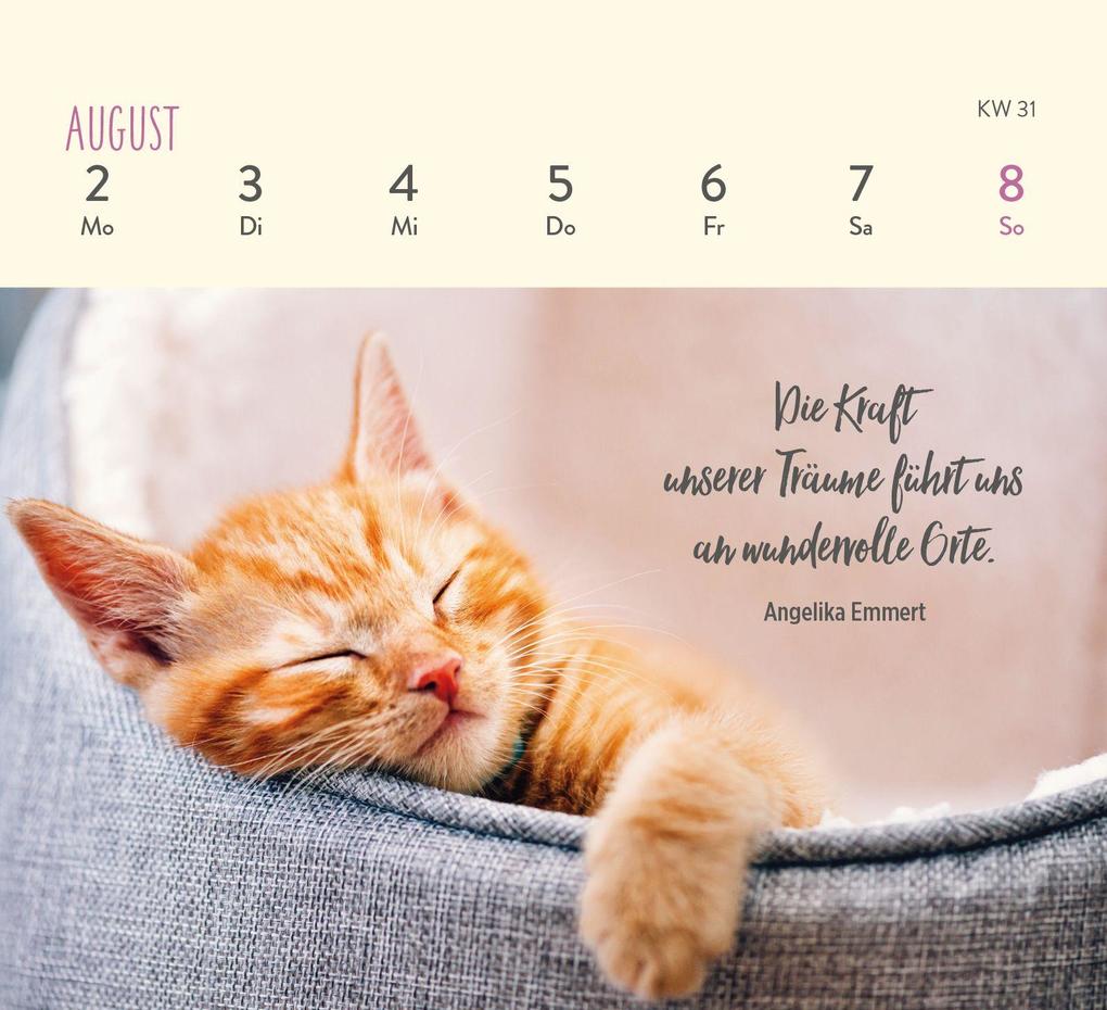 Weitere Ansicht: Mini-Wochenkalender 2027: Für Katzenfreunde