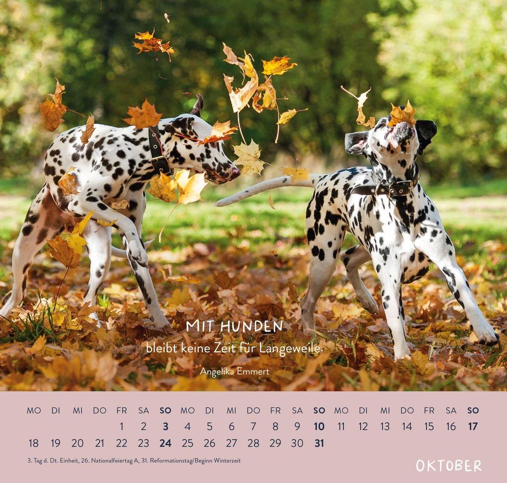 Weitere Ansicht: Wandkalender 2027: Für Hundefreunde