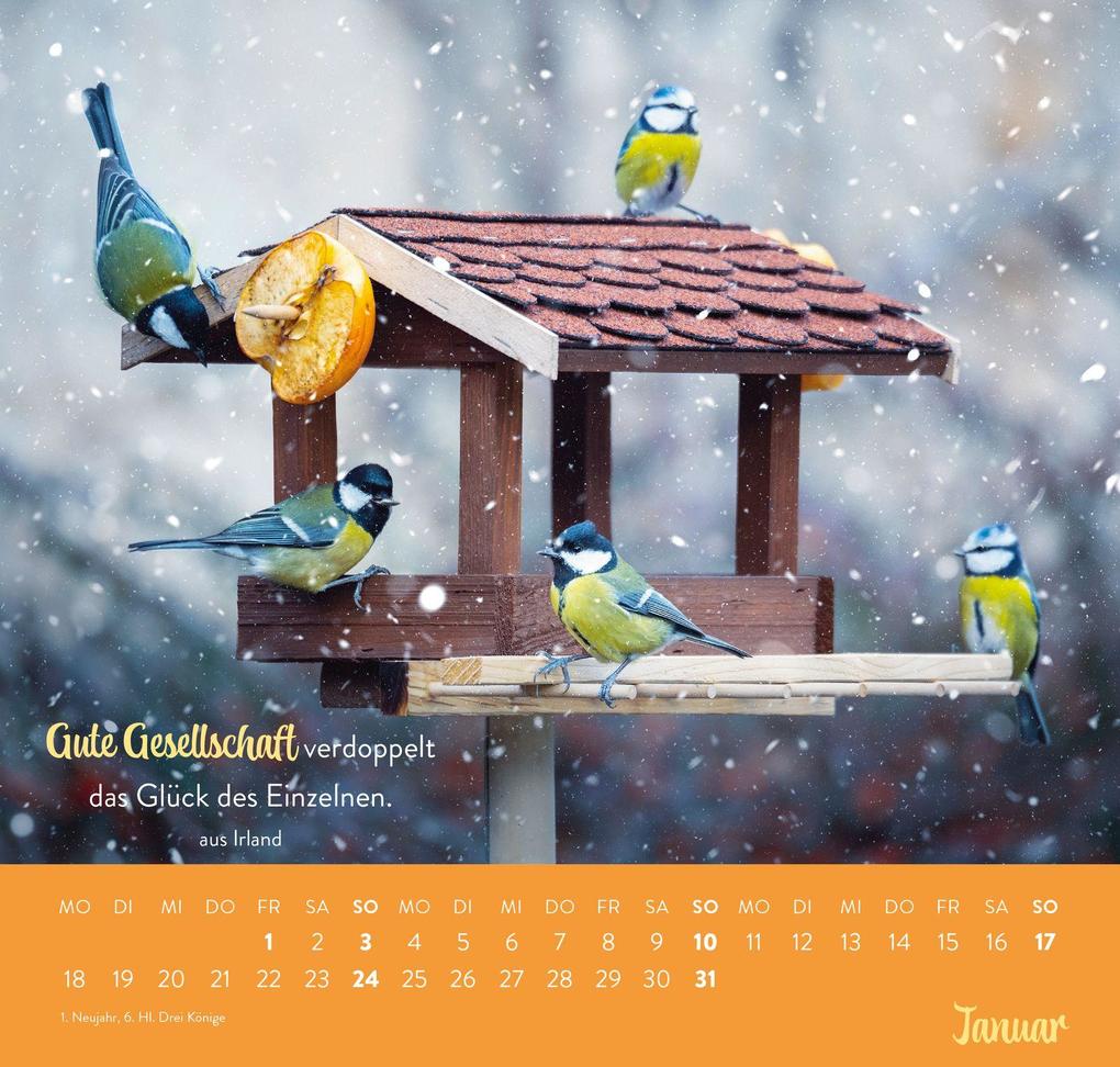 Weitere Ansicht: Wandkalender 2027: Für nette Nachbarn