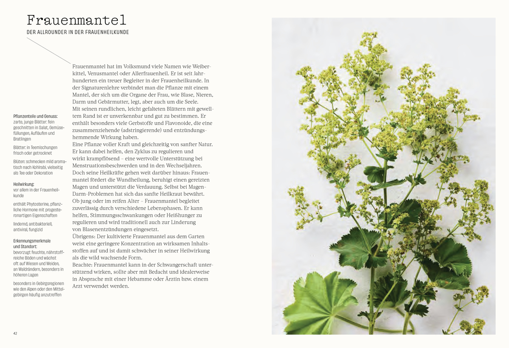 Weitere Ansicht: Wild. Kräuter. Vielfalt | Vera Mücke, Alexandra Gröber