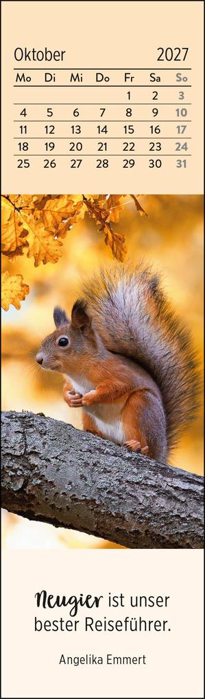 Weitere Ansicht: Lesezeichenkalender 2027: Gute Gedanken