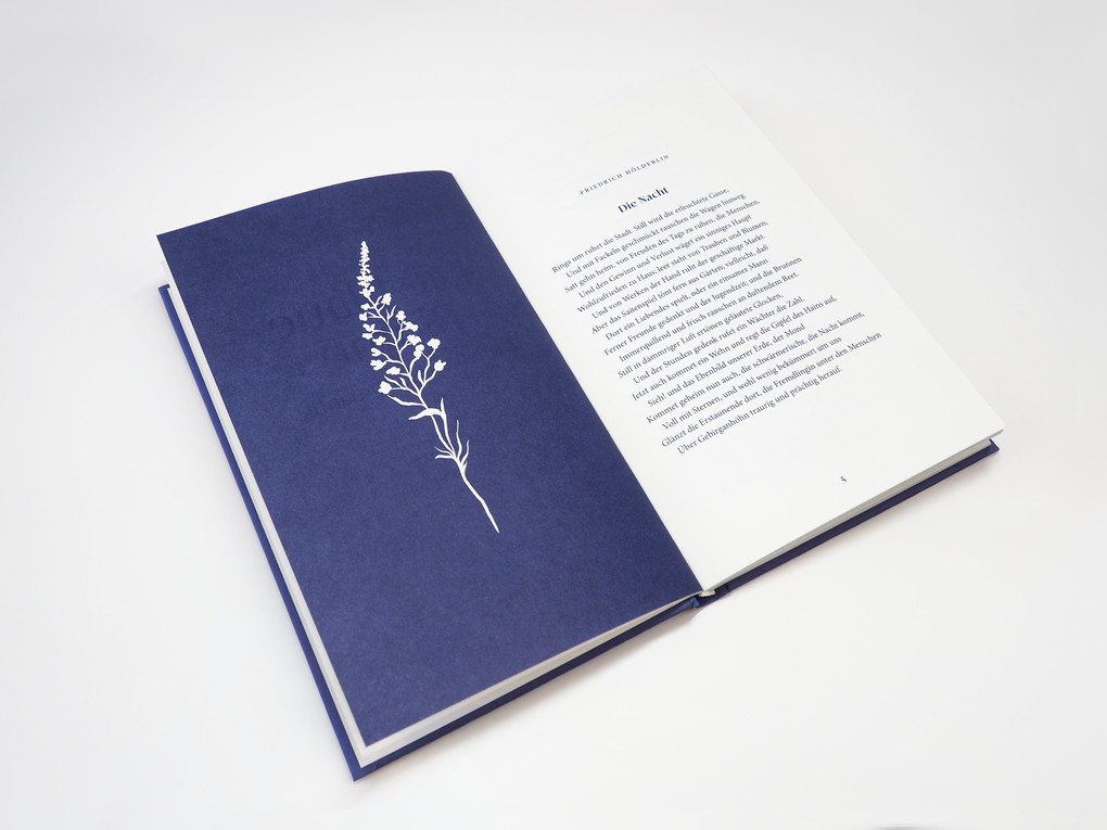 Weitere Ansicht: Die blaue Blume. Gedichte der Romantik