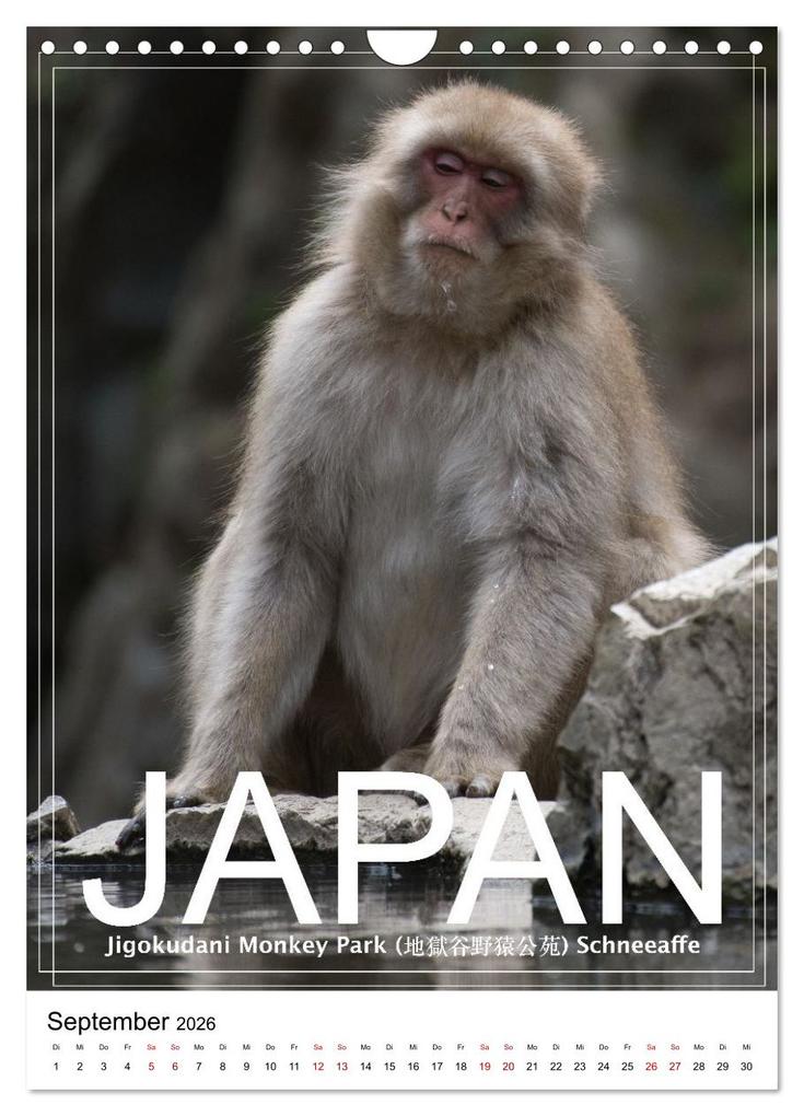 Weitere Ansicht: Japan PosterArt 2024 (Wandkalender 2026 DIN A4 hoch), CALVENDO Monatskalender | Michael Lieder - Artem24.eu, Calvendo