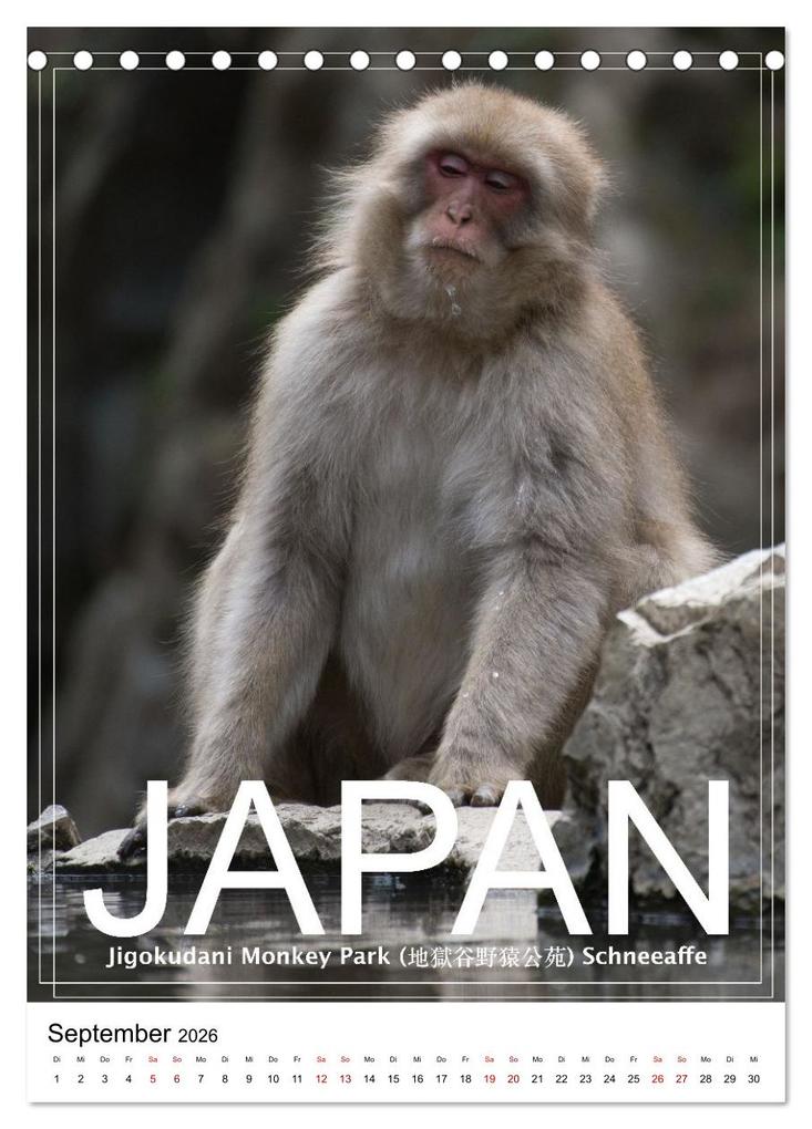 Weitere Ansicht: Japan PosterArt 2024 (Tischkalender 2026 DIN A5 hoch), CALVENDO Monatskalender | Michael Lieder - Artem24.eu, Calvendo