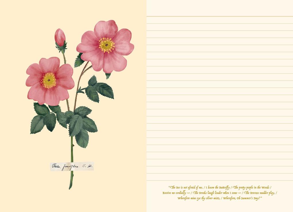 Weitere Ansicht: Poetry of Flowers: An Emily Dickinson Journal | Emily Dickinson Museum
