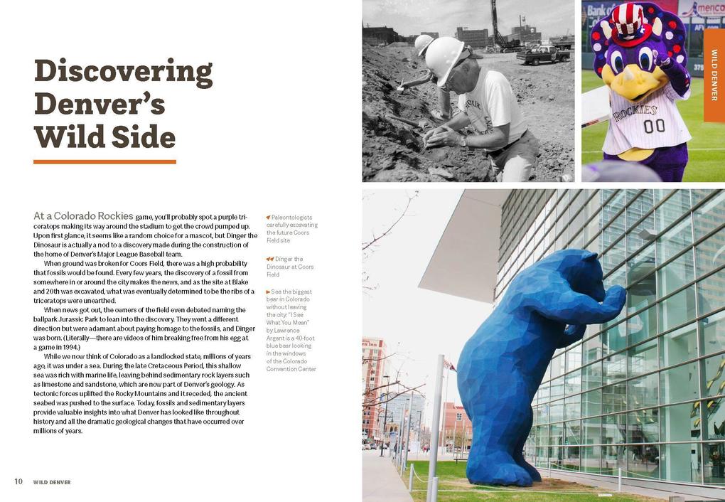 Weitere Ansicht: Wild Denver | Felicia Brower