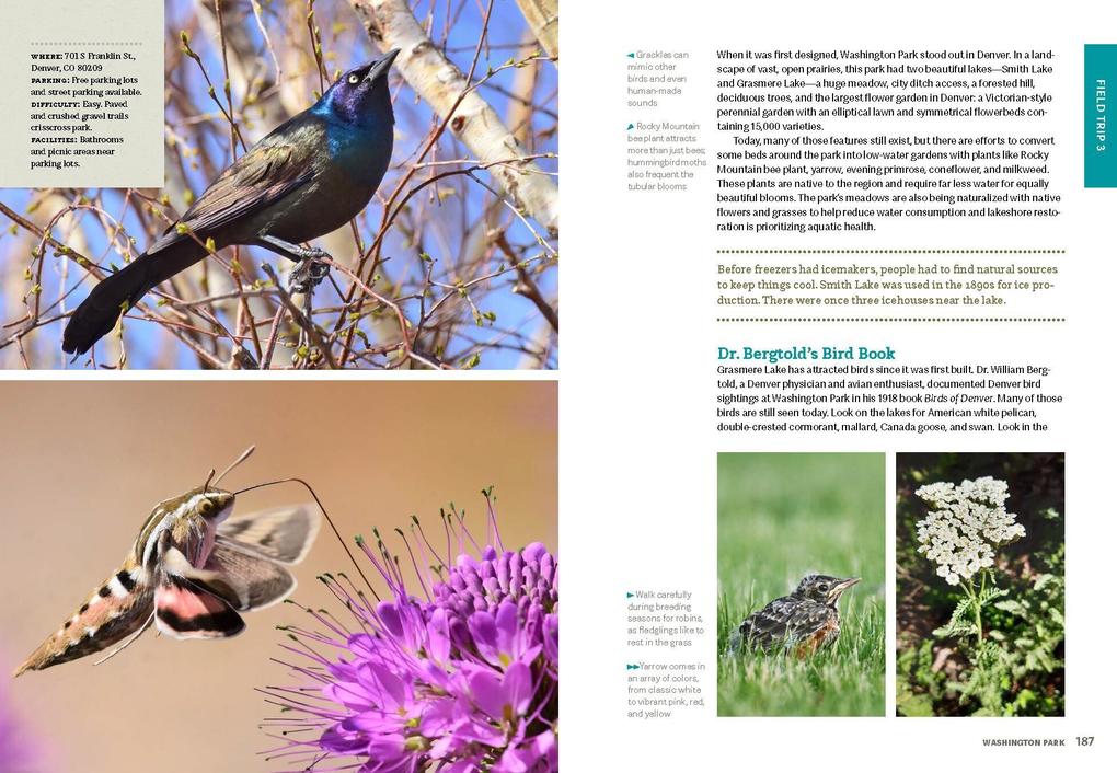 Weitere Ansicht: Wild Denver | Felicia Brower