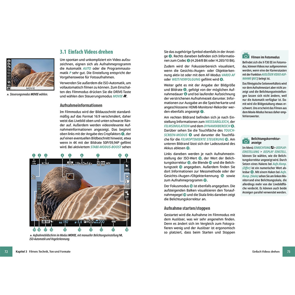 Weitere Ansicht: Fujifilm X-T30 III - Das umfangreiche Praxisbuch zu Ihrer Kamera | Kyra Sänger, Christian Sänger