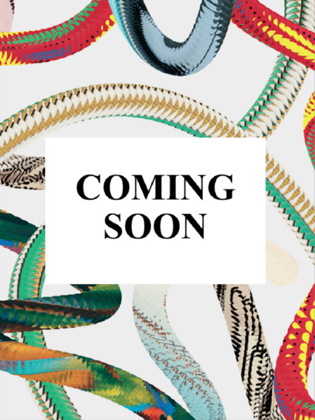 Produktbild: Hilma af Klint | Janis Mink