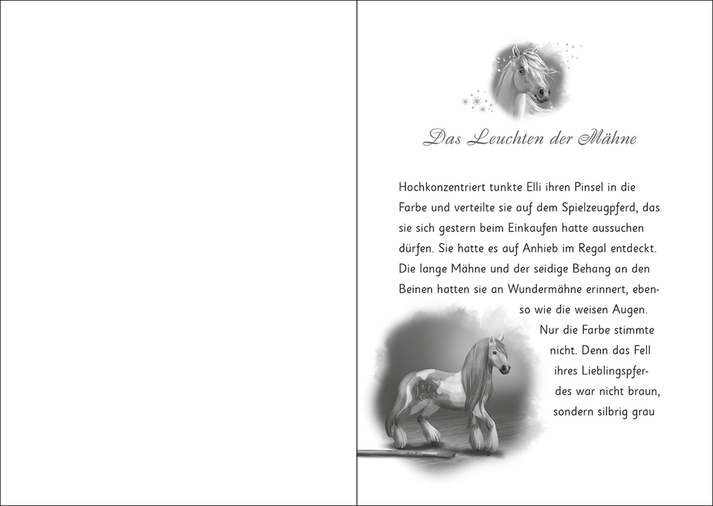 Weitere Ansicht: Wundermähne (Band 5) - Die geheimnisvollen Wolkenpferde | Jana Hoch