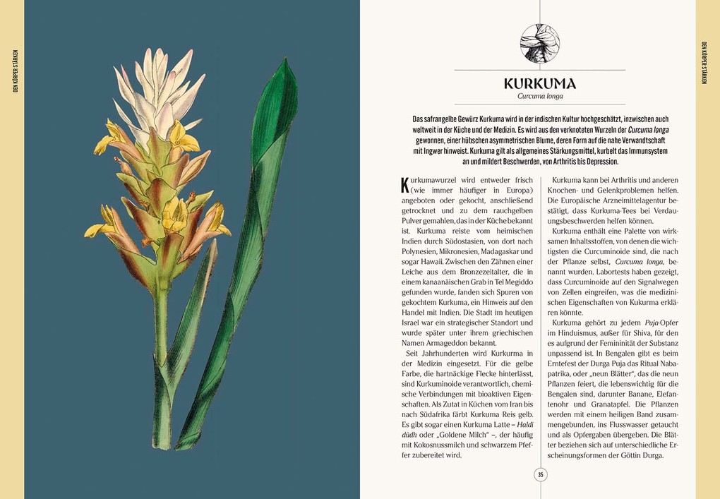 Weitere Ansicht: Der Garten des Apothekers | Emma Wayland