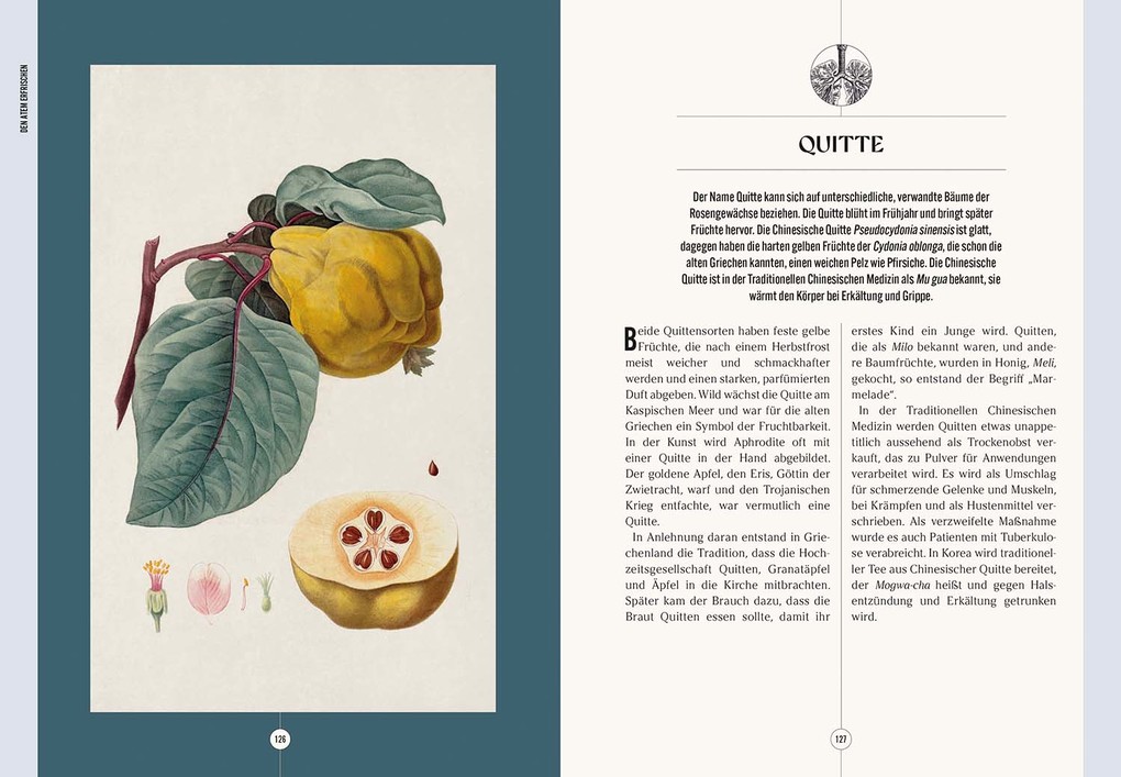 Weitere Ansicht: Der Garten des Apothekers | Emma Wayland