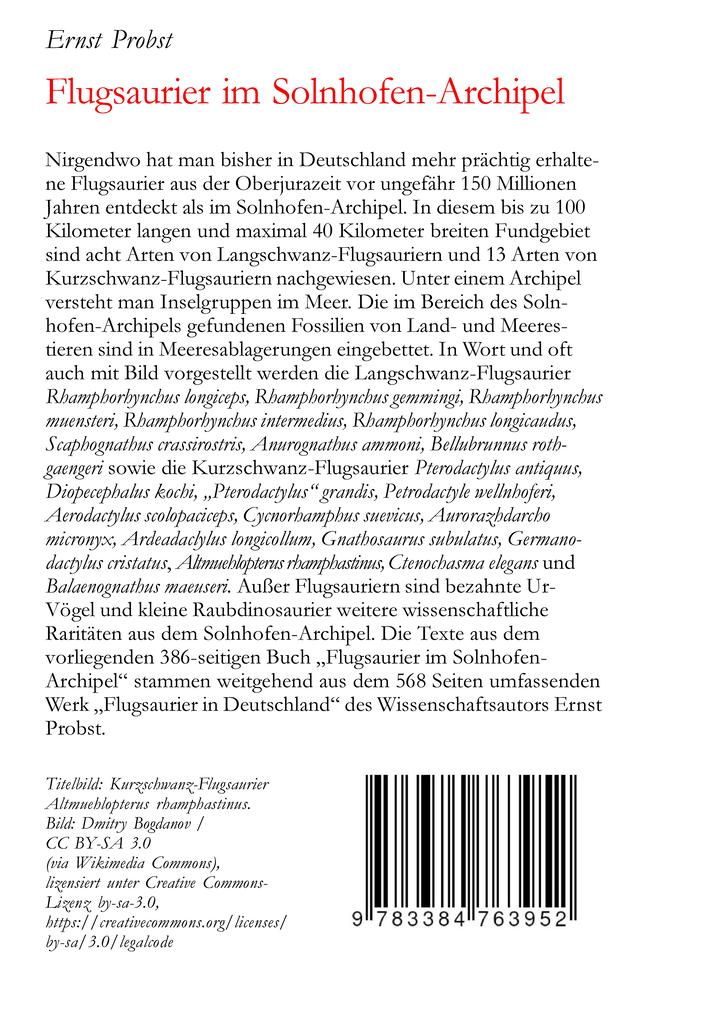 Weitere Ansicht: Flugsaurier im Solnhofen-Archipel | Ernst Probst
