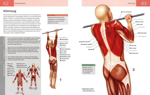 Weitere Ansicht: Die Anatomie von Stretching und Fitness | Ken Ashwell