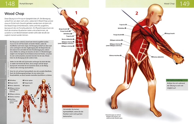 Weitere Ansicht: Die Anatomie von Stretching und Fitness | Ken Ashwell