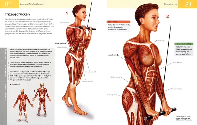 Weitere Ansicht: Die Anatomie von Stretching und Fitness | Ken Ashwell