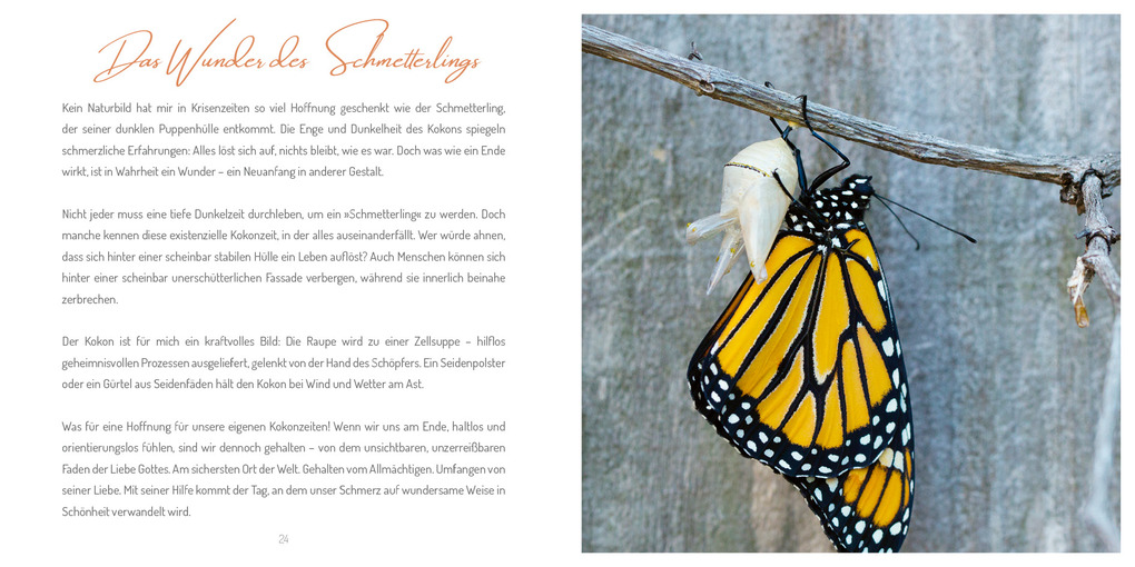 Weitere Ansicht: Dennoch gehalten | Debora Sommer