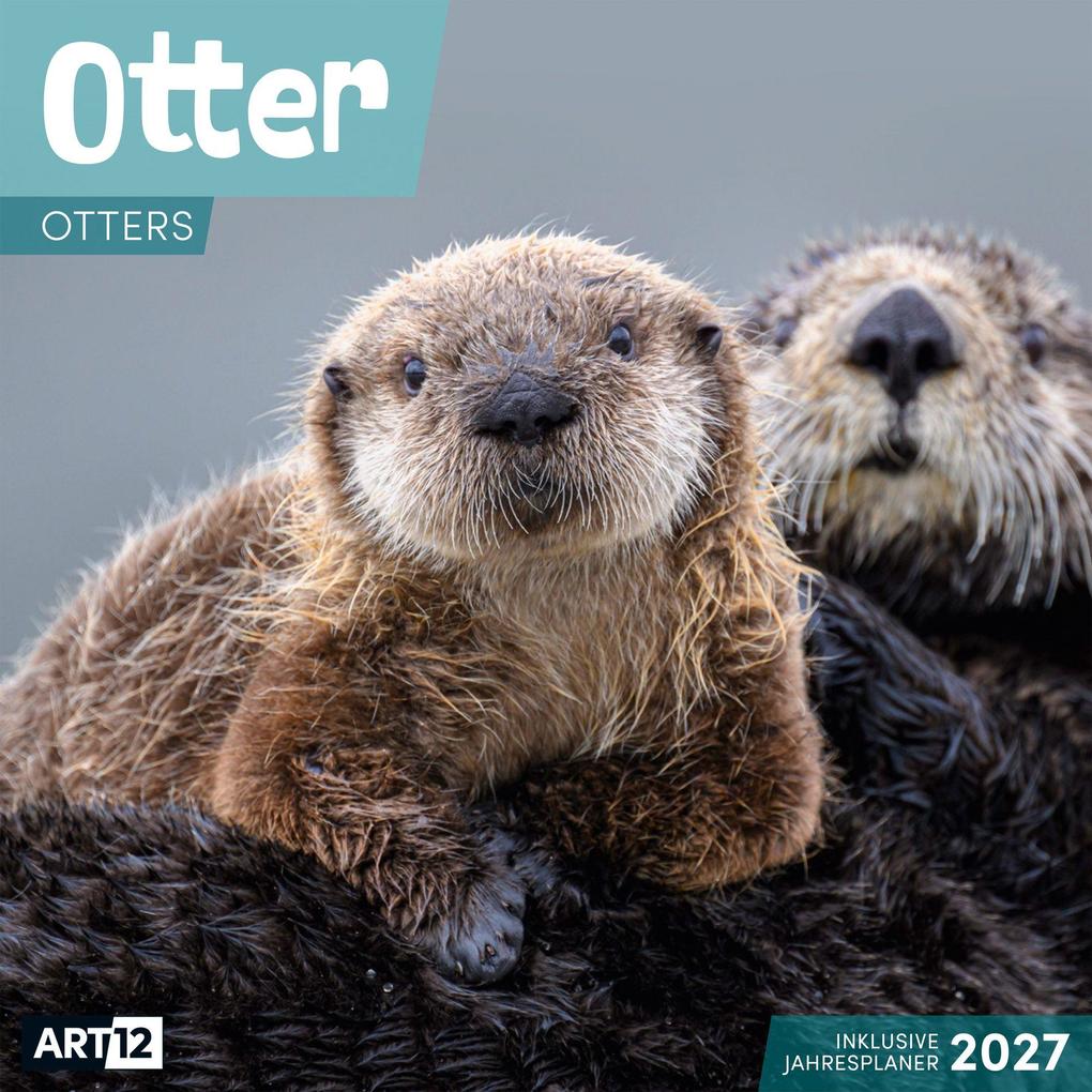 Produktbild: Otter Kalender 2027 - 30x30 - Art12 | Ackermann Kunstverlag GmbH