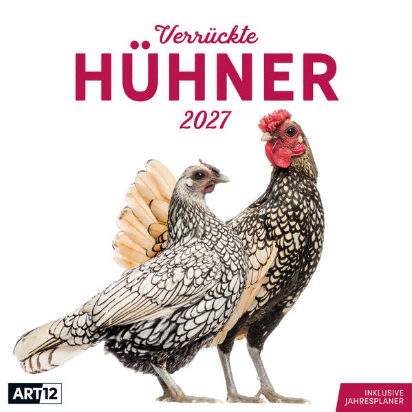 Produktbild: Verrückte Hühner Kalender 2027 - 30x30 - Art12 | Ackermann Kunstverlag GmbH