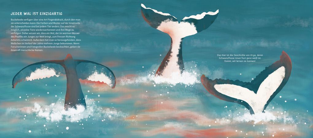 Weitere Ansicht: Die wunderbare Reise eines Wals | María José Pérez Álvarez