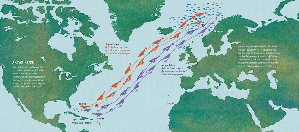 Weitere Ansicht: Die wunderbare Reise eines Wals | María José Pérez Álvarez