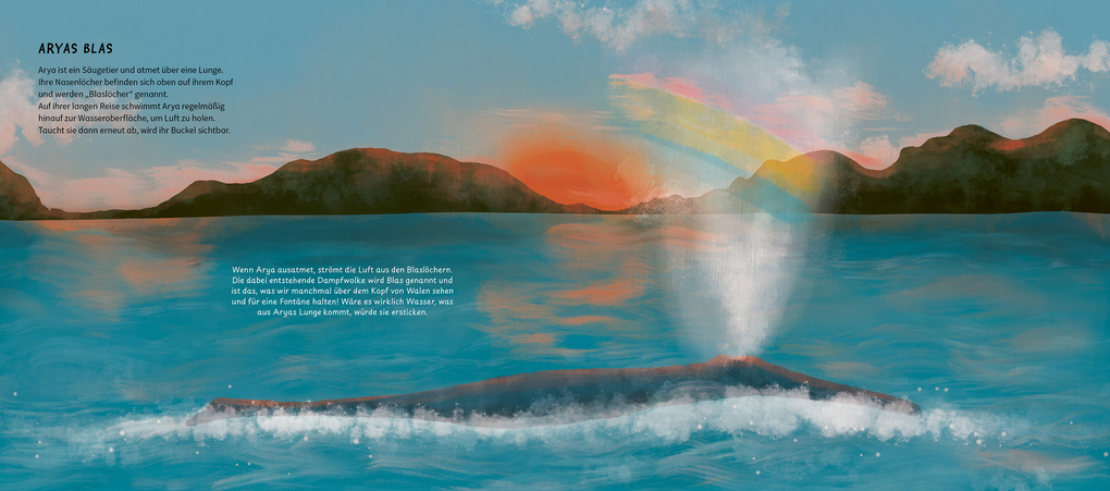 Weitere Ansicht: Die wunderbare Reise eines Wals | María José Pérez Álvarez