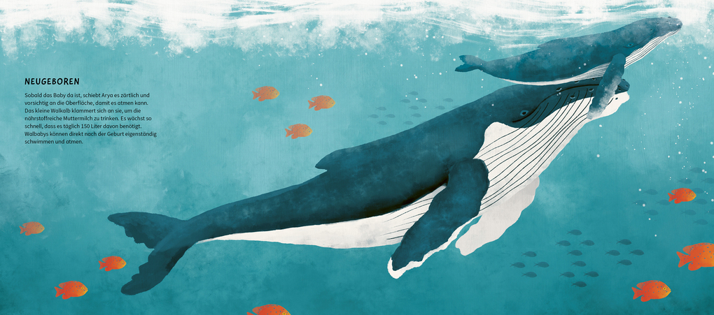 Weitere Ansicht: Die wunderbare Reise eines Wals | María José Pérez Álvarez