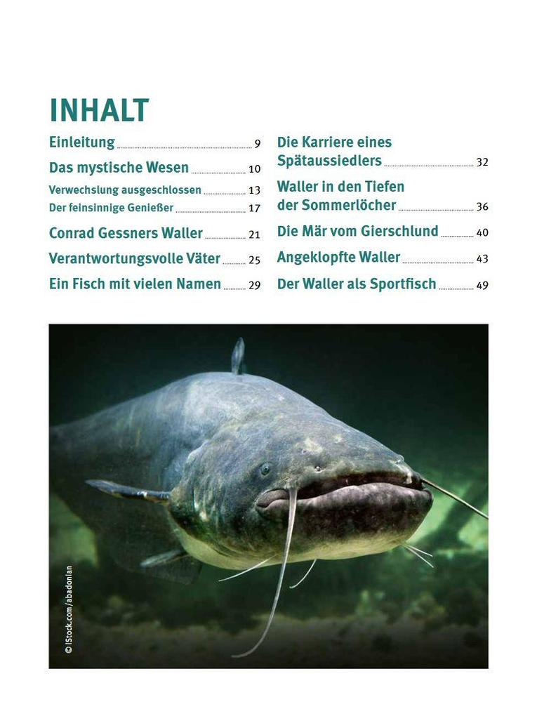 Weitere Ansicht: Welse - Giganten unserer Gewässer | Markus Bötefür