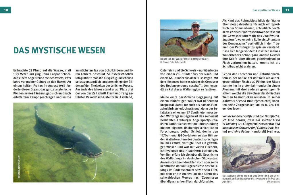 Weitere Ansicht: Welse - Giganten unserer Gewässer | Markus Bötefür