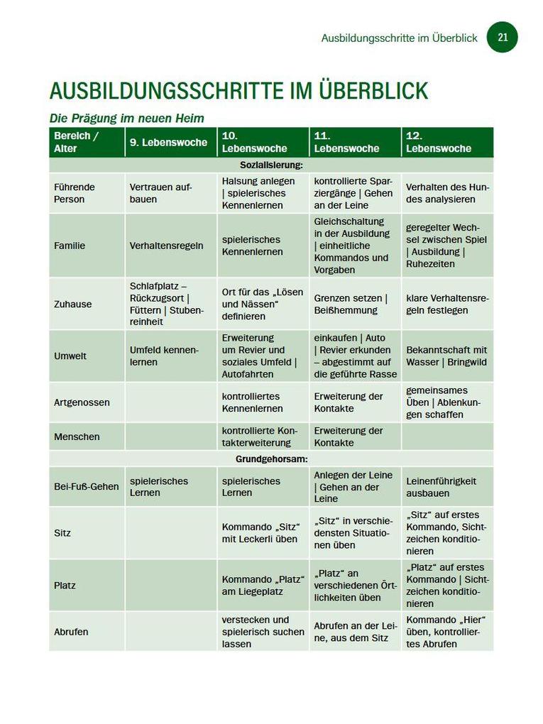 Weitere Ansicht: Jagdhunde ausbilden | Bernhard Hammer