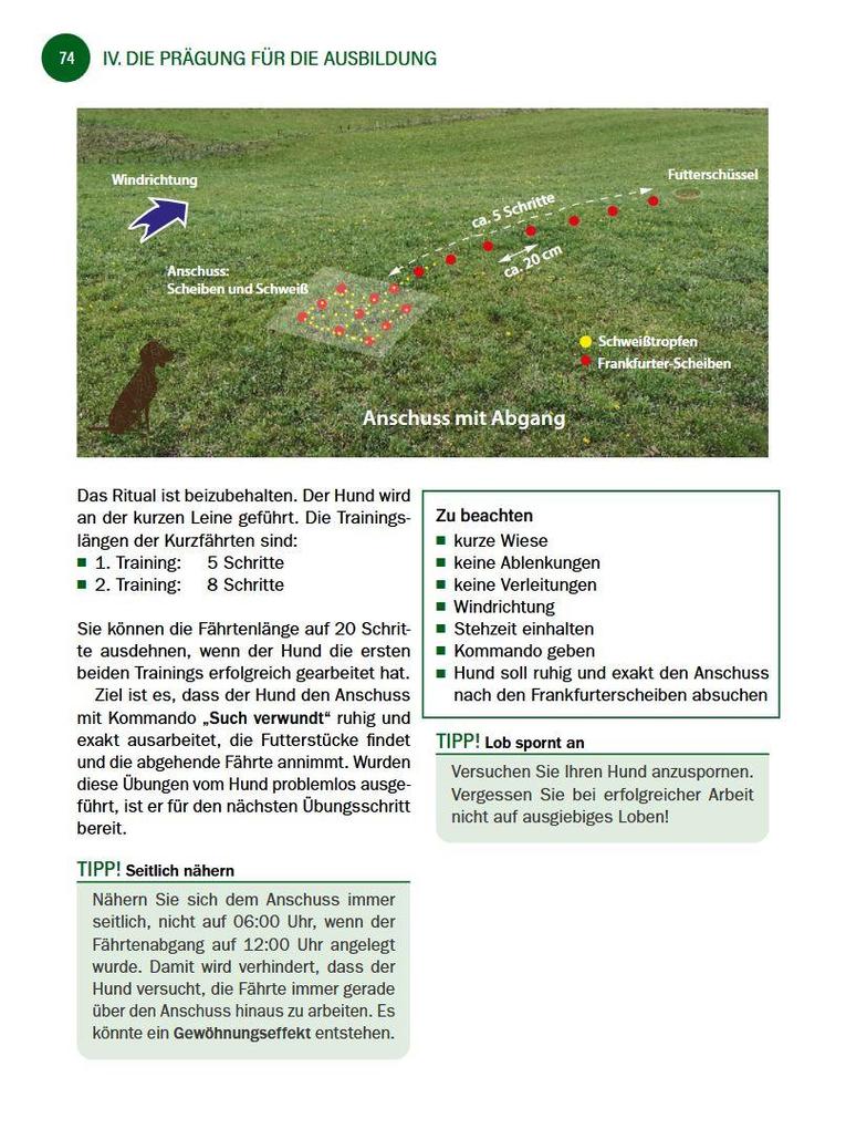 Weitere Ansicht: Jagdhunde ausbilden | Bernhard Hammer