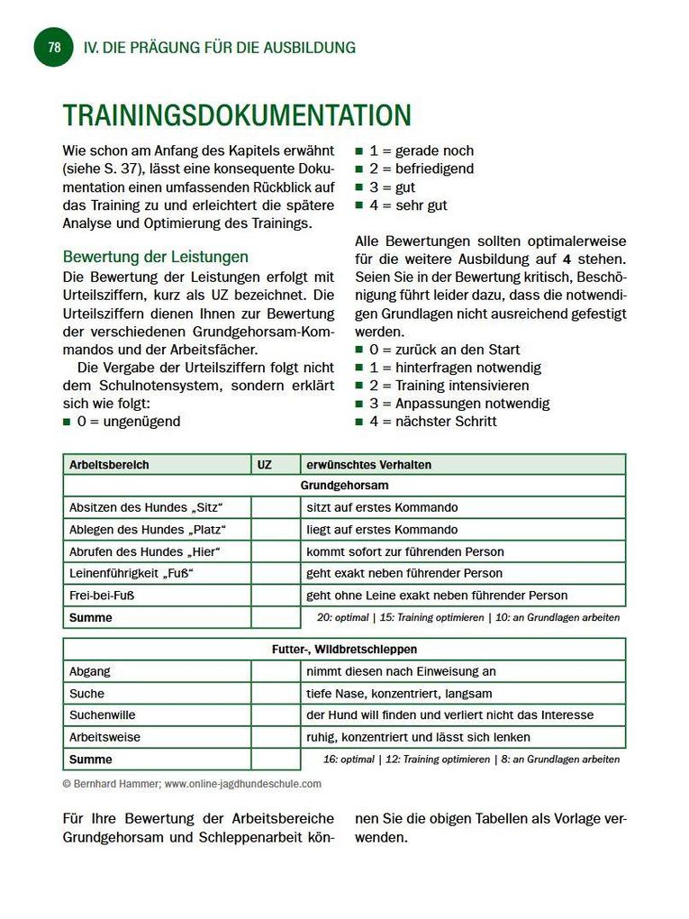 Weitere Ansicht: Jagdhunde ausbilden | Bernhard Hammer