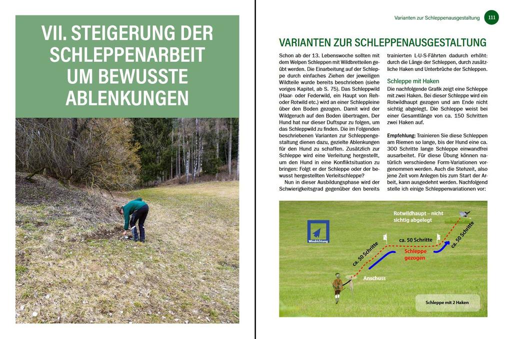 Weitere Ansicht: Jagdhunde ausbilden | Bernhard Hammer