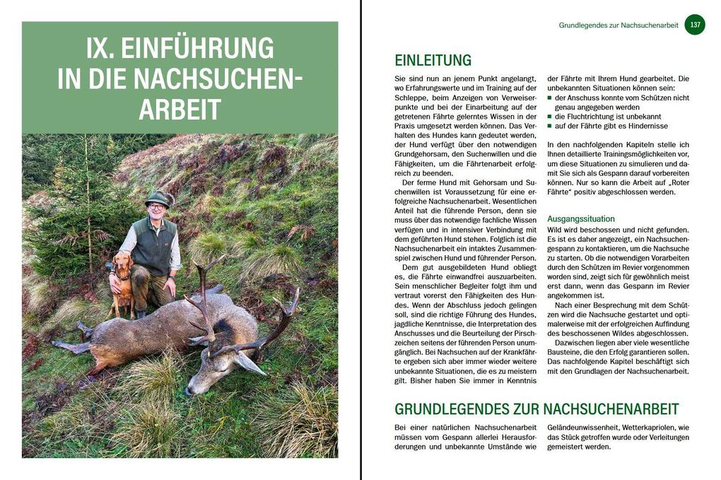 Weitere Ansicht: Jagdhunde ausbilden | Bernhard Hammer