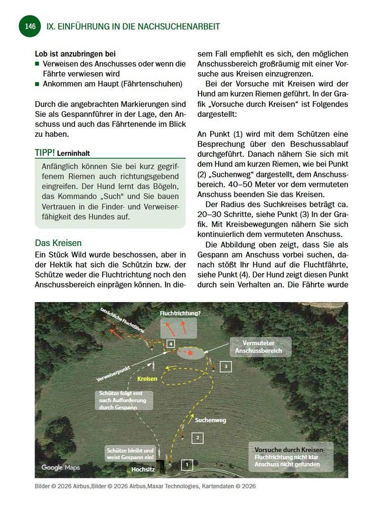 Weitere Ansicht: Jagdhunde ausbilden | Bernhard Hammer