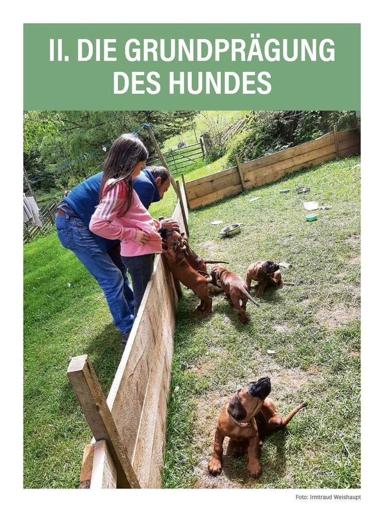 Weitere Ansicht: Jagdhunde ausbilden | Bernhard Hammer