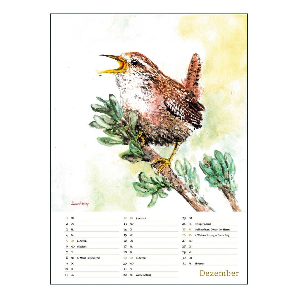 Weitere Ansicht: Unsere heimische Vogelwelt 2027