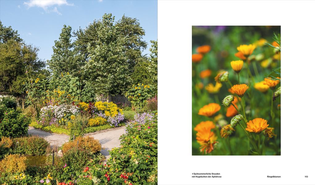 Weitere Ansicht: Der Garten von Ada und Emil Nolde | Kirsten Jüngling